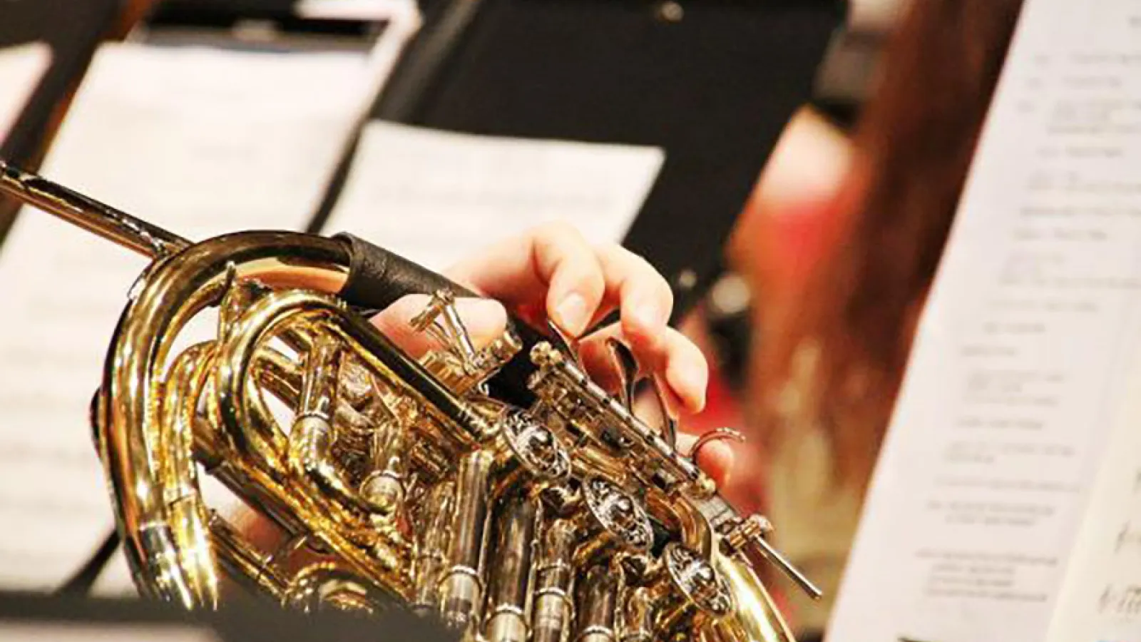 Person playing a French horn