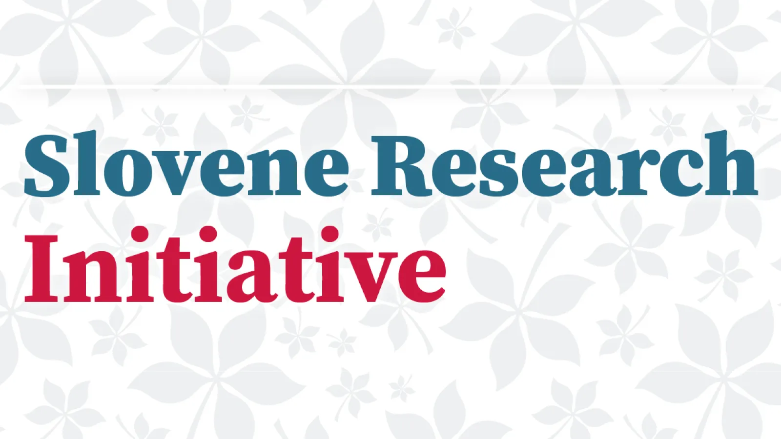 Slovene Research Initiative