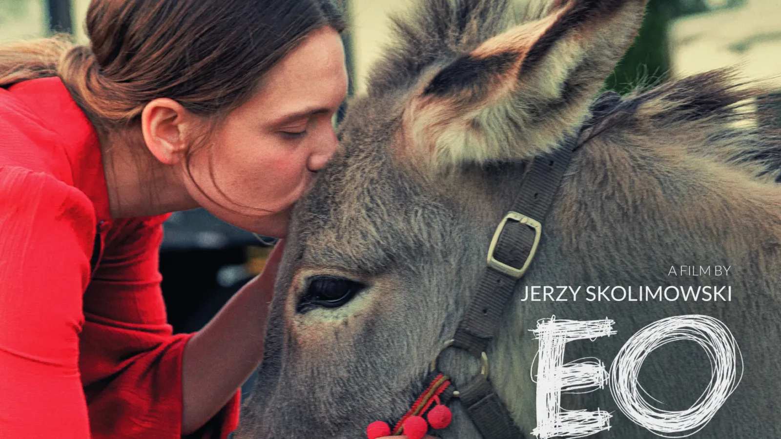 Film poster for EO