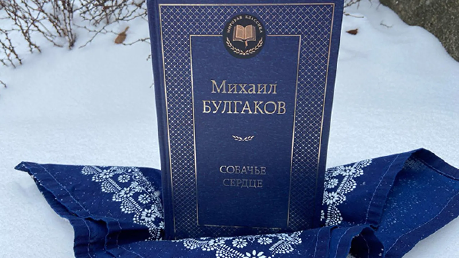 A copy of Heart of a Dog by Mikhail Bulgakov in Russian displayed in a snowy scene