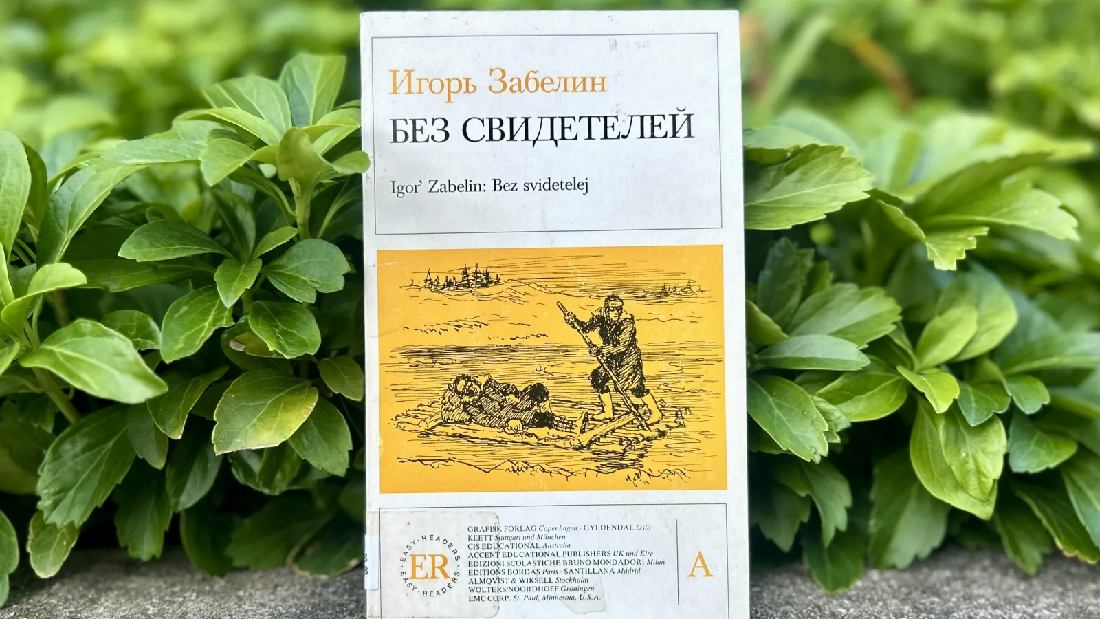 Cover of Without Witnesses by Igor Zabelin