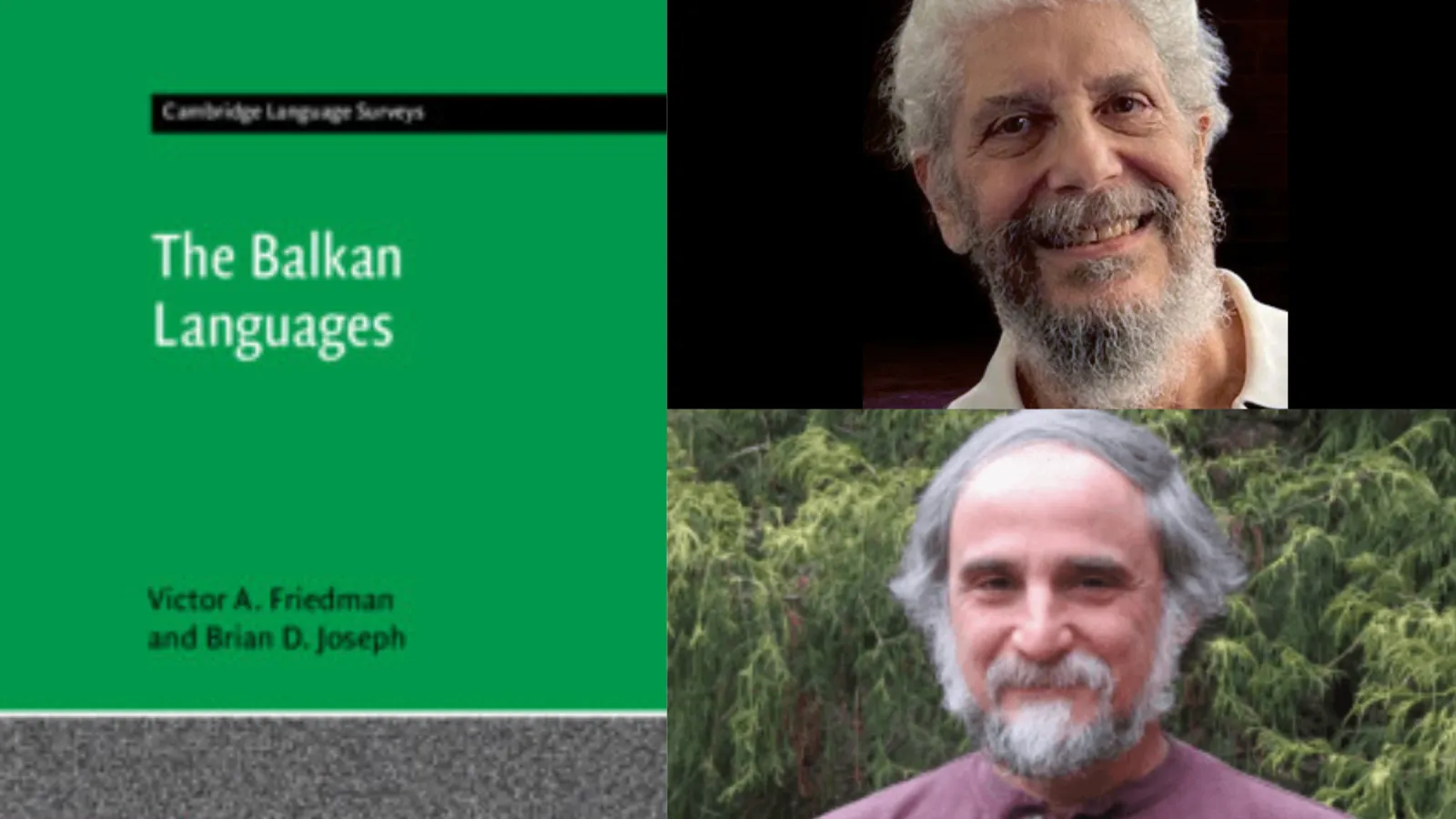The Balkan Languages cover 