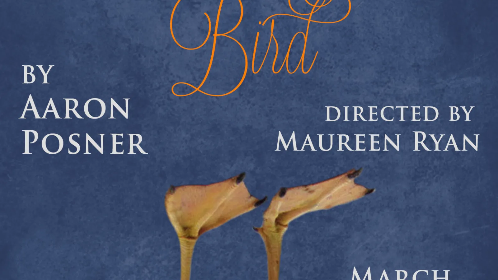 Advertising poster of Stupid F---ing Bird performance