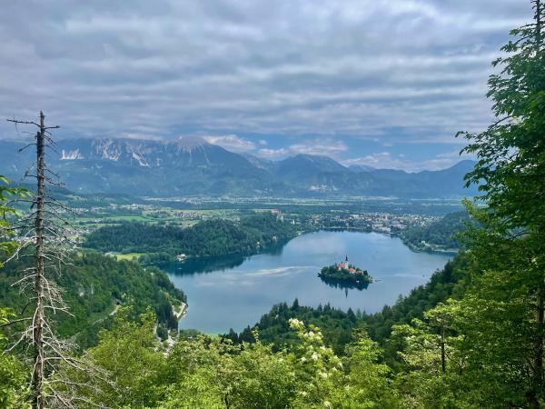 Bled, Slovenia aerial view of pollen on Lake Bled