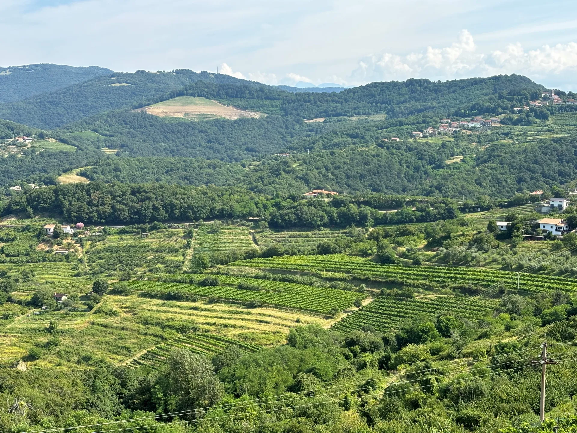 View of Brda Hills