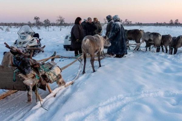 Nenets people of Siberia with a sled