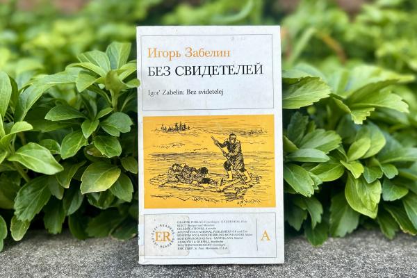 Cover of Without Witnesses by Igor Zabelin