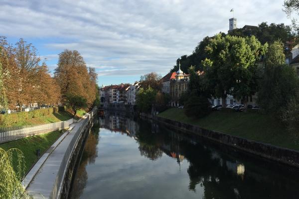 A straight river boarded by trees and grass on both sides, with buildings in the background