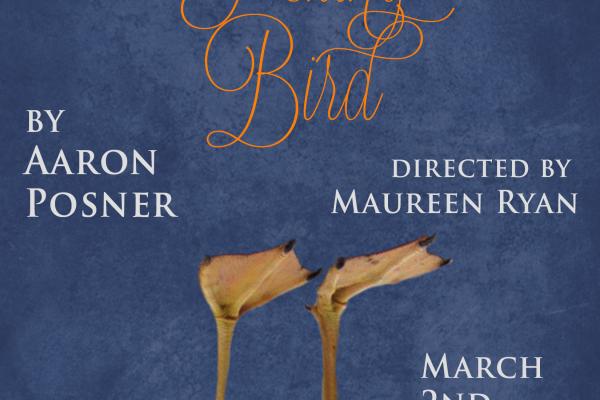 Stupid F---ing Bird Poster Advertising poster of Stupid F---ing Bird performance