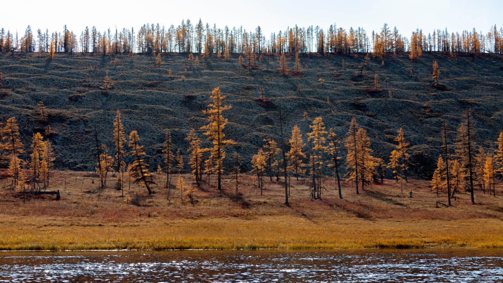 Coast of the wild Siberian taiga river with mounds of glacial erosion.