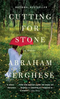 Cover of Cutting for Stone